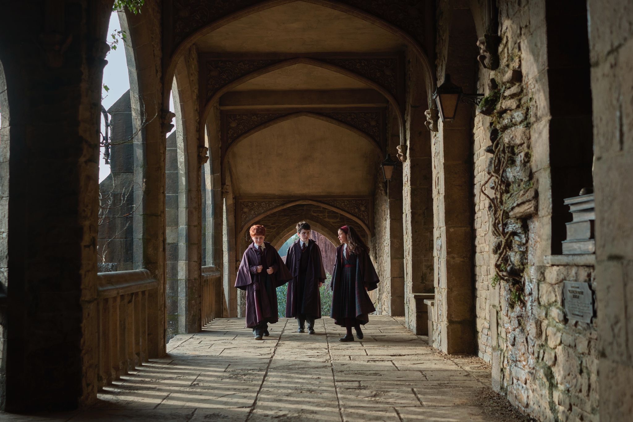 Harry Potter (2026) - HBO