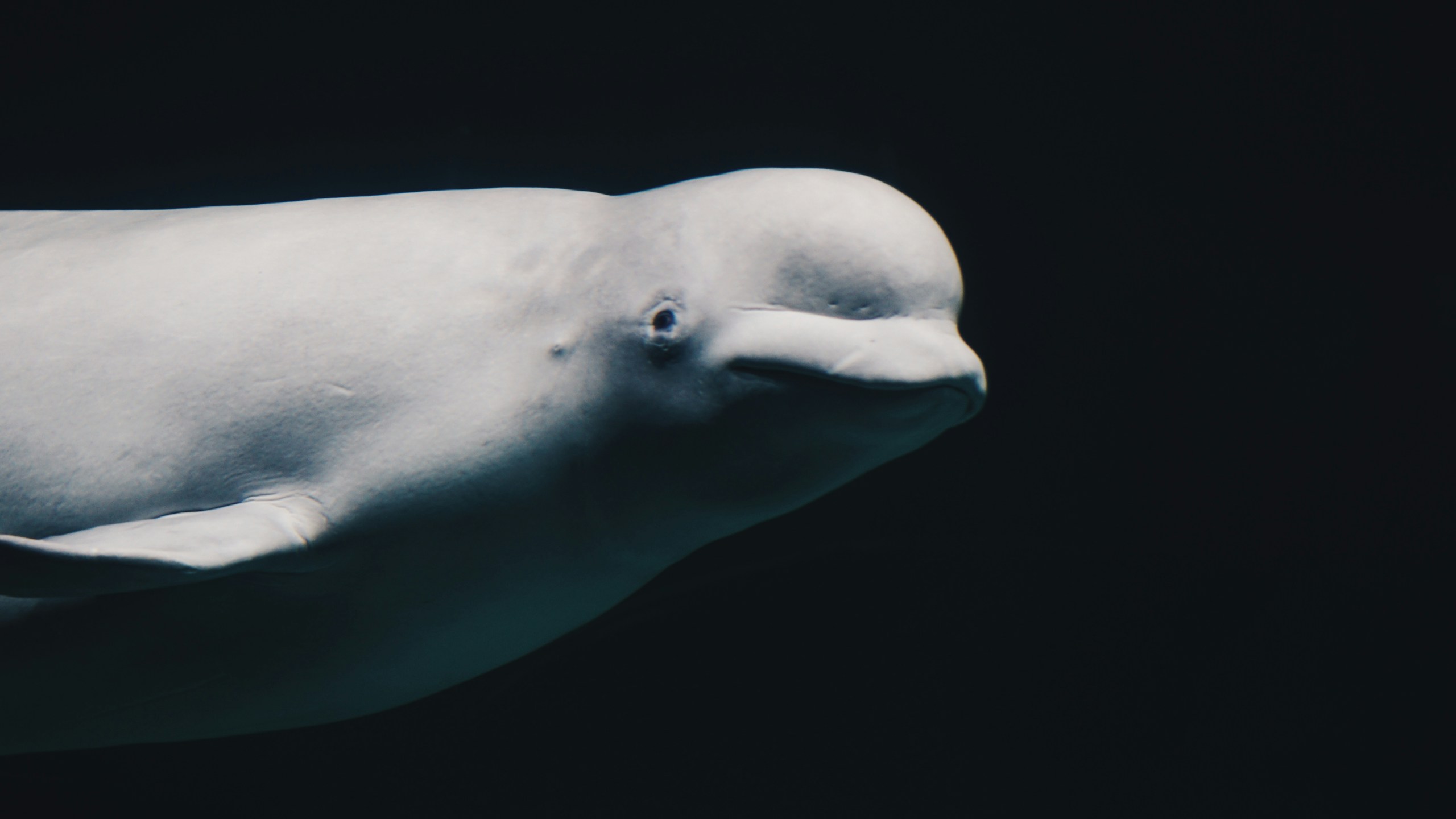 Mendar Bouchali/Unsplash
