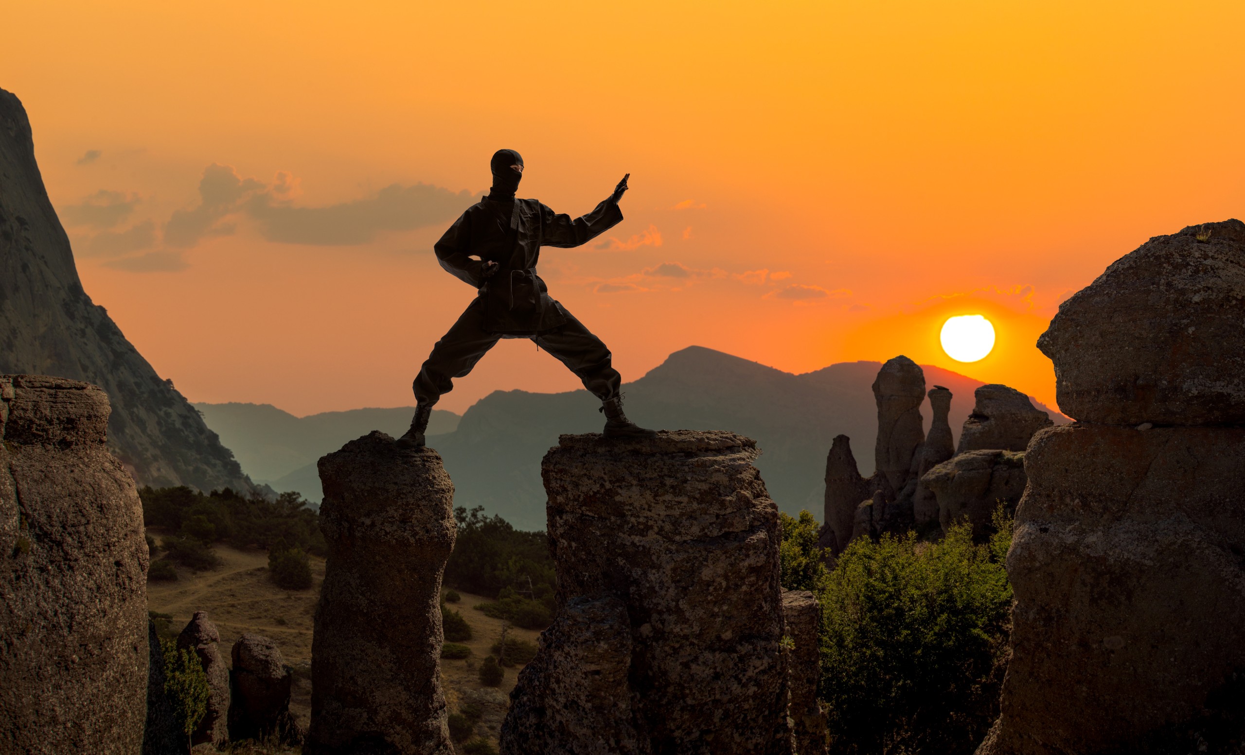 Aleksey Mnogosmyslov/Shutterstock