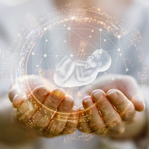 Natali _ Mis/Shutterstock