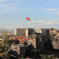Cengiz &Ouml;zarpat/Unsplash