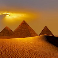 muratart / Shutterstock